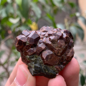 Garnet with Green Epidote on Matrix – Natural Mineral Specimen
