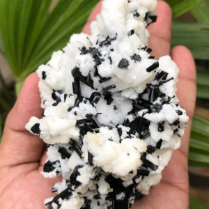 Striking Mineral Specimen – Black Tourmaline, Albite & Aquamarine Crystal Needle